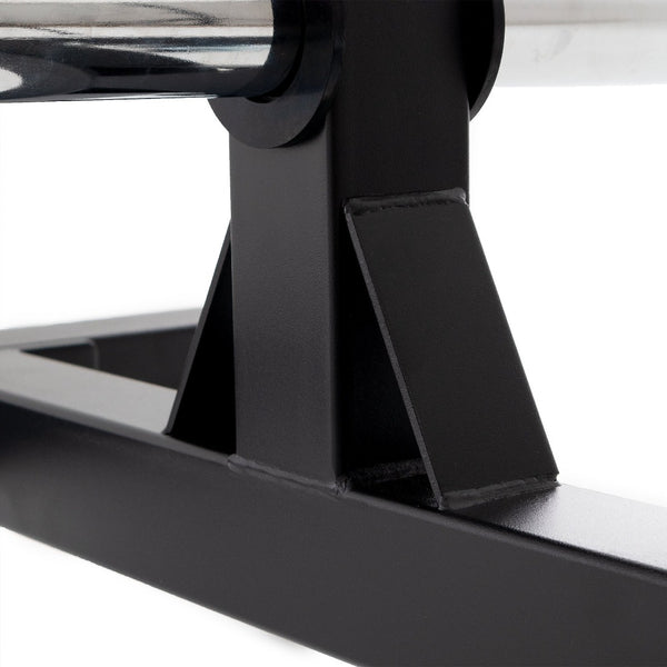 Side angle of upright bracing bumper plate storage tree